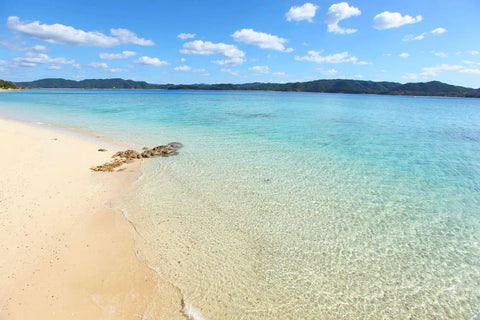 芦徳海岸