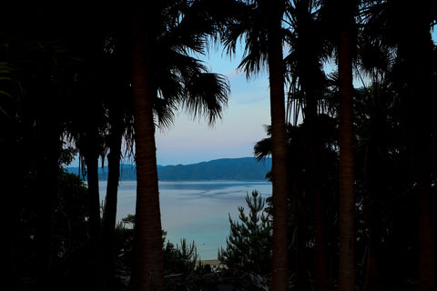 琉球ヴィラ・ビロウからの眺め